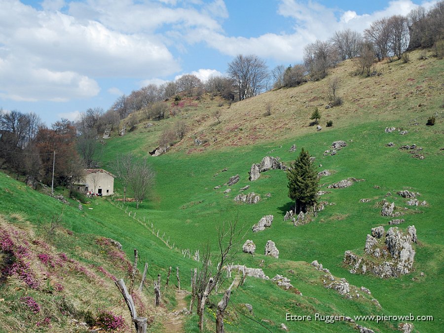 21 - Sul sentiero verso il Monte Zucco.JPG